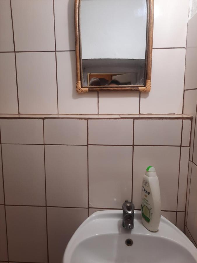 Pe Malul Raului Bega Apartment